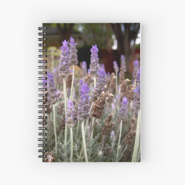 Lavender Field Spiral Notebook