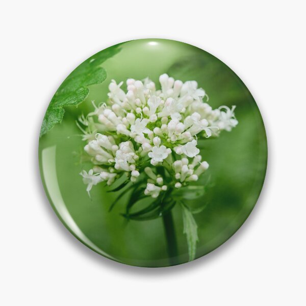 Item preview, White and greens. Valerian designed and sold by Jouko Lehto Photography.