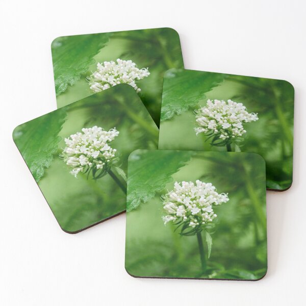 Item preview, White and greens. Valerian designed and sold by Jouko Lehto Photography.