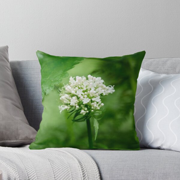 Item preview, White and greens. Valerian designed and sold by Jouko Lehto Photography.
