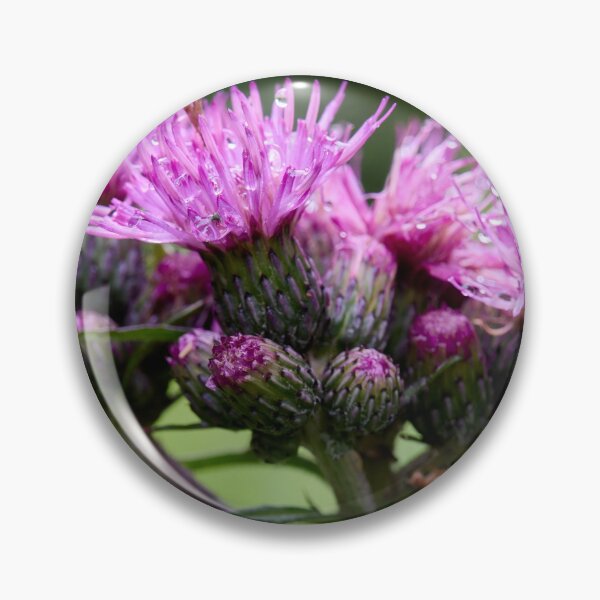 Item preview, Wet. Marsh Thistle designed and sold by Jouko Lehto Photography.