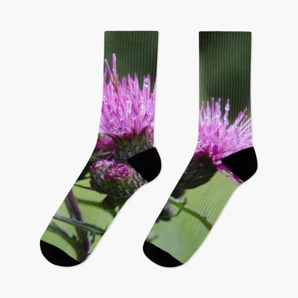 Item preview, Wet. Marsh Thistle designed and sold by Jouko Lehto Photography.