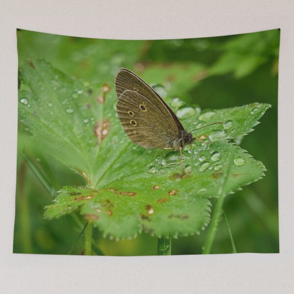 Item preview, Just for the drinks. Ringlet designed and sold by Jouko Lehto Photography.