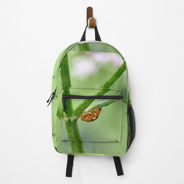 Item preview, Down under. Orange ladybird designed and sold by Jouko Lehto Photography.