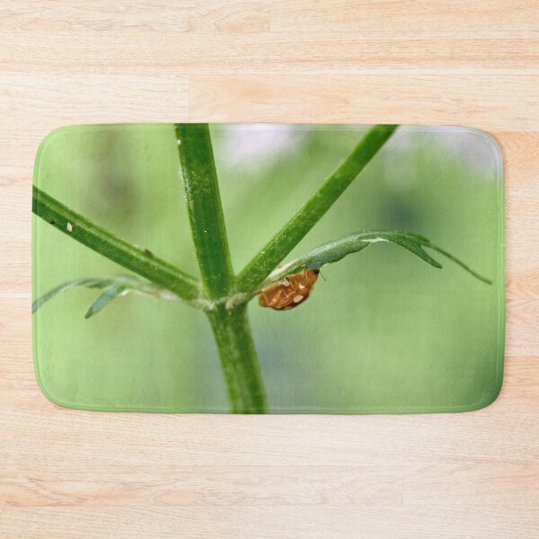 Item preview, Down under. Orange ladybird designed and sold by Jouko Lehto Photography.