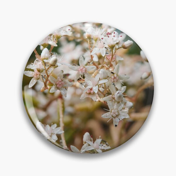 Item preview, Droplets. White Stonecrop designed and sold by Jouko Lehto Photography.
