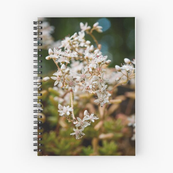 Item preview, Droplets. White Stonecrop designed and sold by Jouko Lehto Photography.