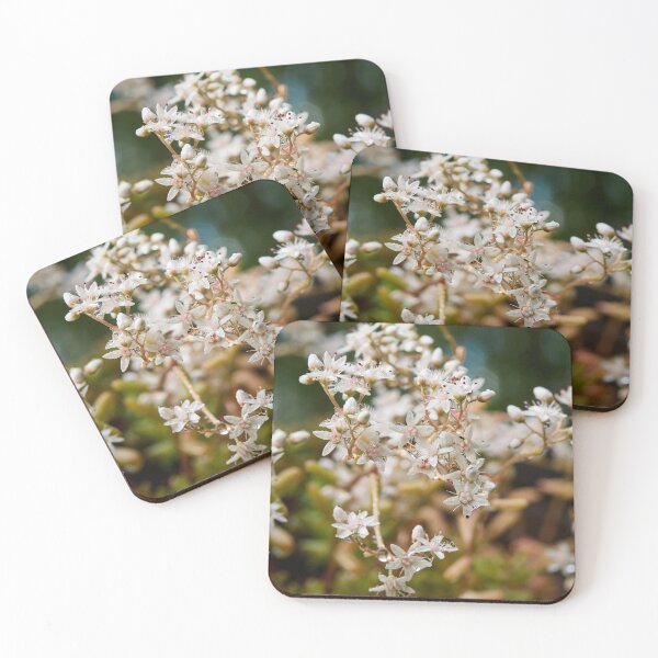 Item preview, Droplets. White Stonecrop designed and sold by Jouko Lehto Photography.