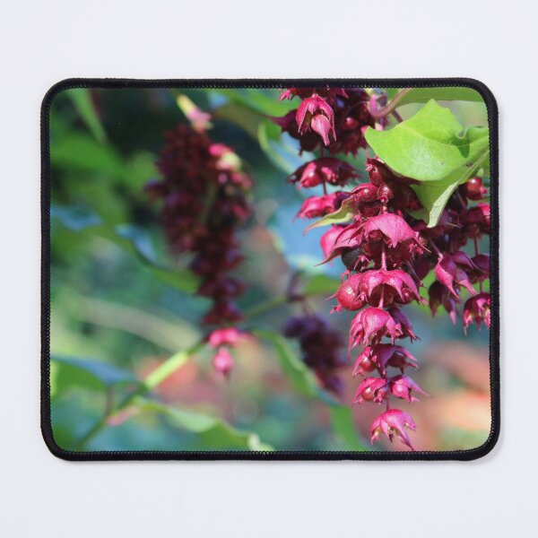 Item preview, Pheasant Berry designed and sold by pinkal.