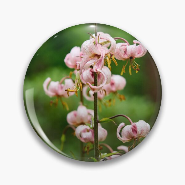 Item preview, Light pink. Martagon Lily designed and sold by Jouko Lehto Photography.