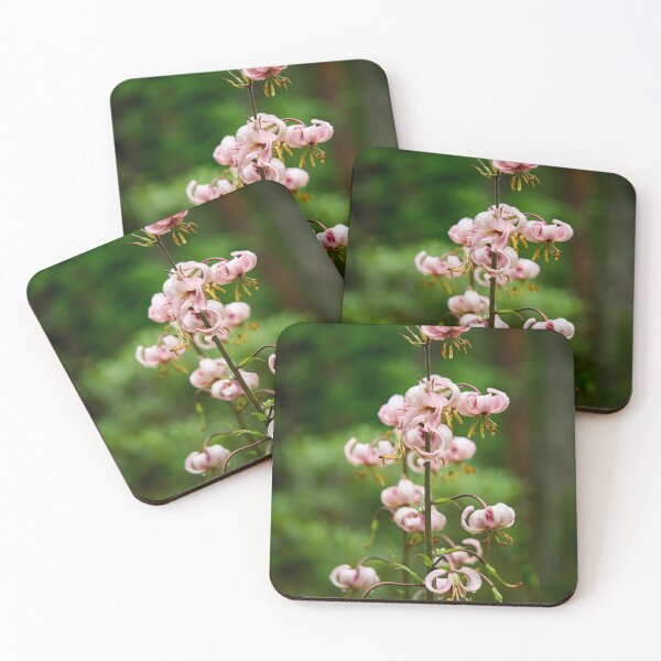 Item preview, Light pink. Martagon Lily designed and sold by Jouko Lehto Photography.