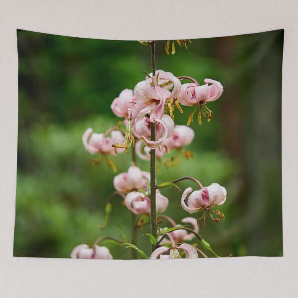 Item preview, Light pink. Martagon Lily designed and sold by Jouko Lehto Photography.