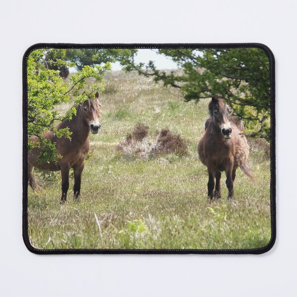 Item preview, Exmoor Ponies designed and sold by pinkal.