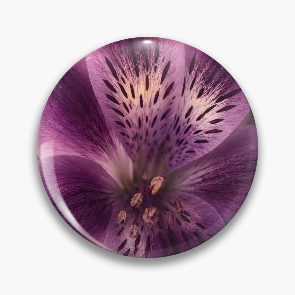 Item preview, Purple Alstroemeria – Fine Art Botanical Flower Photography designed and sold by ViolafleurViolett.