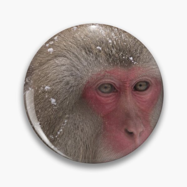 Item preview, Snow Monkey Winter Scene | Japanese Design designed and sold by JapanMemoir.