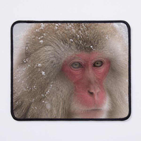 Item preview, Snow Monkey Winter Scene | Japanese Design designed and sold by JapanMemoir.