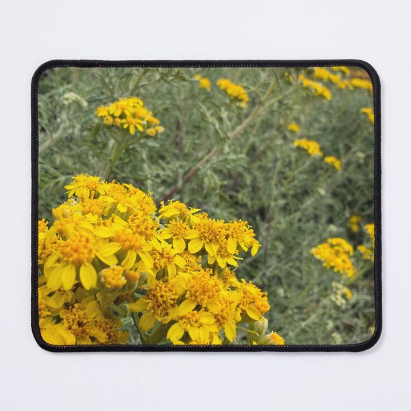 Item preview, Organic Form of Yellow Flowers designed and sold by Betsy Phillips.