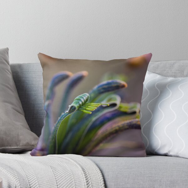 Item preview, Blue Masquerade Kangaroo Paw Macro 1 – Fine Art Canvas Print designed and sold by MinzMarchStudio.