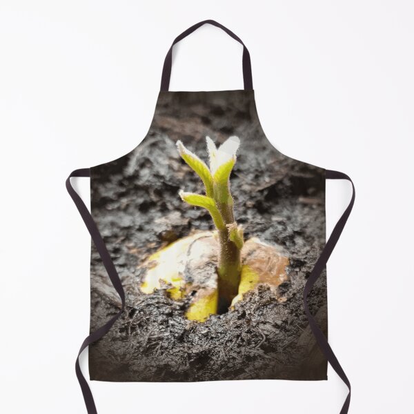 Item preview, Rooted Devotion - The Awakening Sprout designed and sold by energyoflove333.