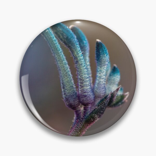 Item preview, Blue Masquerade Kangaroo Paw Macro 2 – Fine Art Print designed and sold by MinzMarchStudio.
