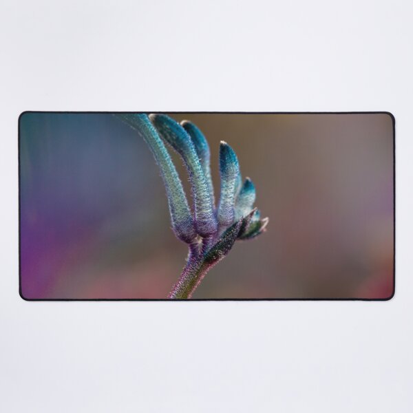 Item preview, Blue Masquerade Kangaroo Paw Macro 2 – Fine Art Print designed and sold by MinzMarchStudio.