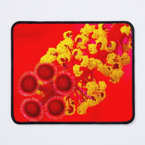 Item preview, Stacked Hibiscus designed and sold by Ralph Goldsmith.