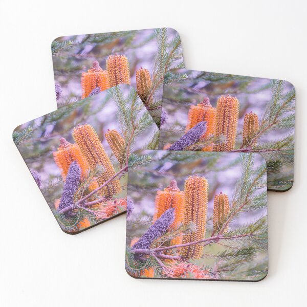 Item preview, Heath-Leaved Orange Banksia – Fine Art Canvas Print designed and sold by MinzMarchStudio.