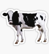Cow Sticker