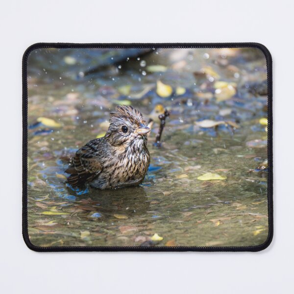 Item preview, Sparrow Bathing In A Puddle designed and sold by Debra Martz.