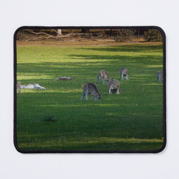 Item preview, Eastern Grey Kangaroos Grazing at Dusk – Fine Art Canvas Print designed and sold by MinzMarchStudio.