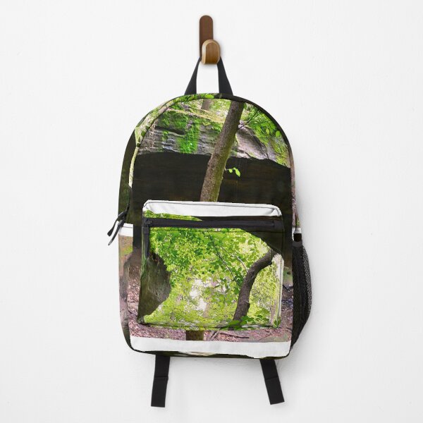 Item preview, Natural Rock Bridge At Rockbridge State Nature Preserve designed and sold by LisaWootenPhoto.