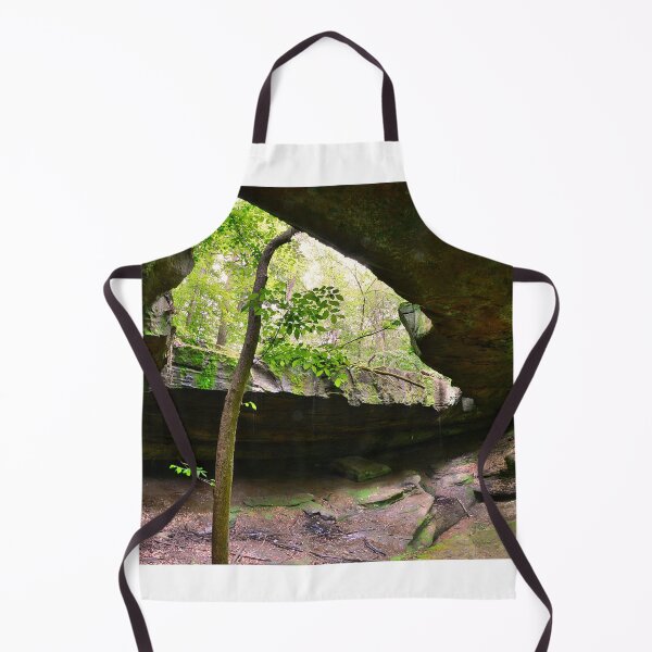 Item preview, Natural Rock Bridge At Rockbridge State Nature Preserve designed and sold by LisaWootenPhoto.