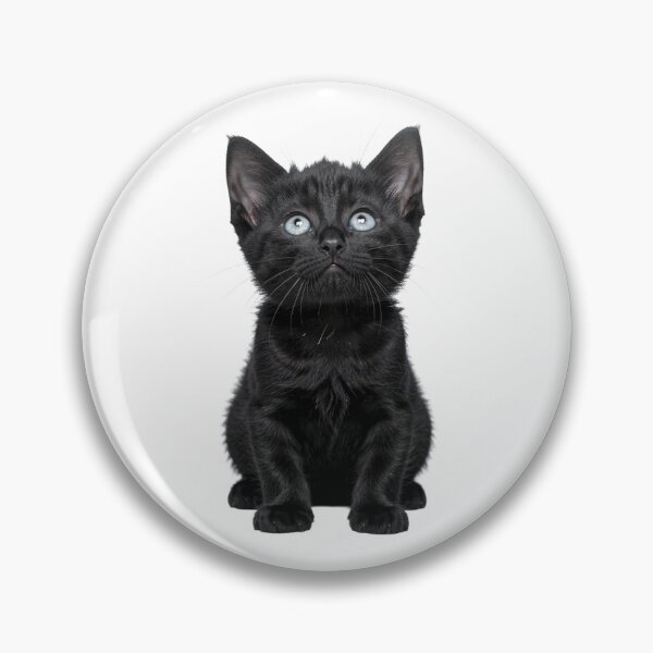 Item preview, black baby kitten looking up sticker designed and sold by mrshadow113.