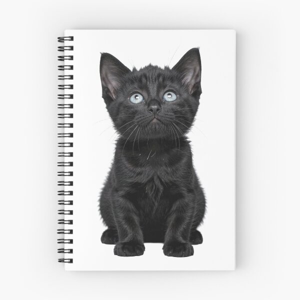 Item preview, black baby kitten looking up sticker designed and sold by mrshadow113.