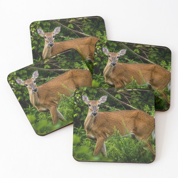 Item preview, Deer Keeping watch designed and sold by Astute-Artio-Photography.