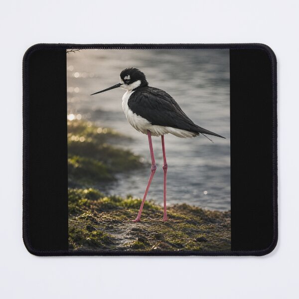 Item preview, Stillness at the Water’s Edge designed and sold by Kimberly Palmer.