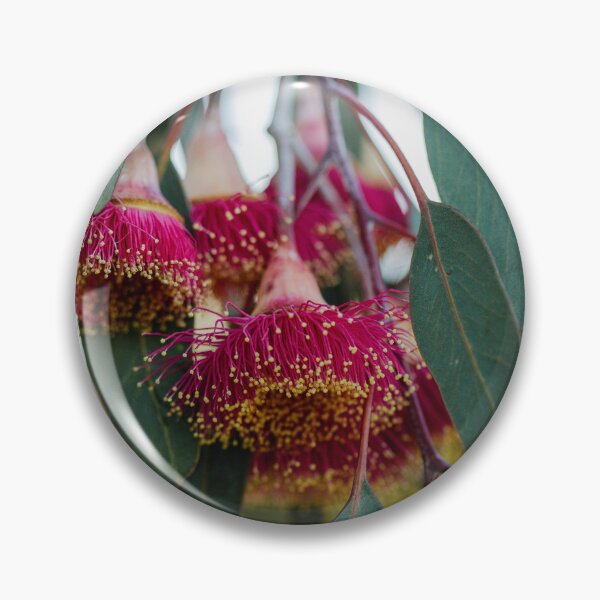 Item preview, Silver Princess Eucalyptus Bloom Macro 3 – Wall Art Canvas Print designed and sold by MinzMarchStudio.