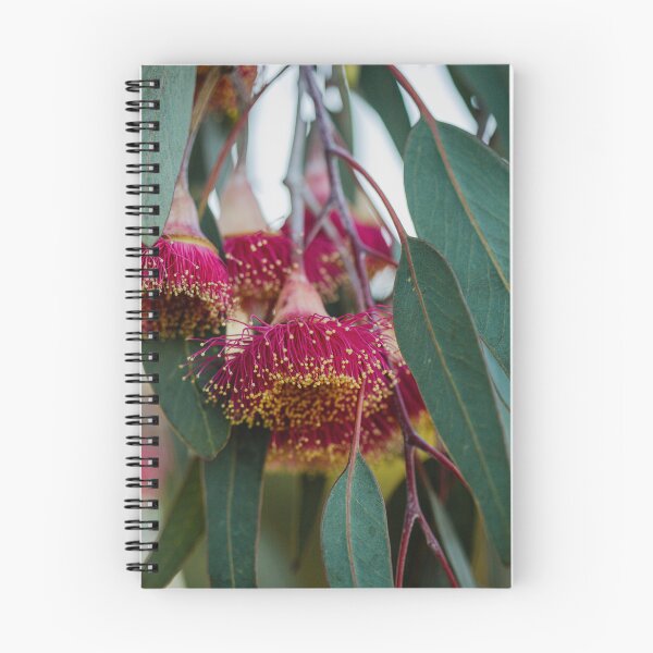 Item preview, Silver Princess Eucalyptus Bloom Macro 3 – Wall Art Canvas Print designed and sold by MinzMarchStudio.