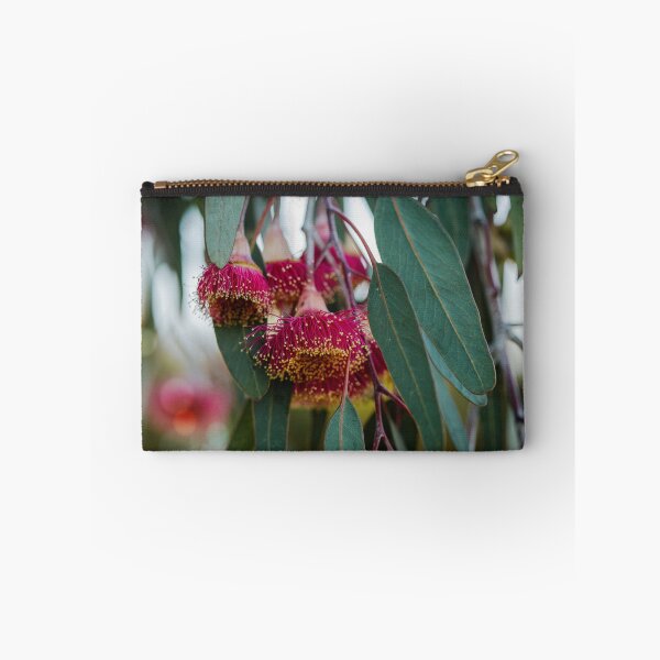 Item preview, Australian Native Flower Silver Princess Eucalyptus Bloom Macro 3 – Wall Art Canvas Print designed and sold by MinzMarchStudio.