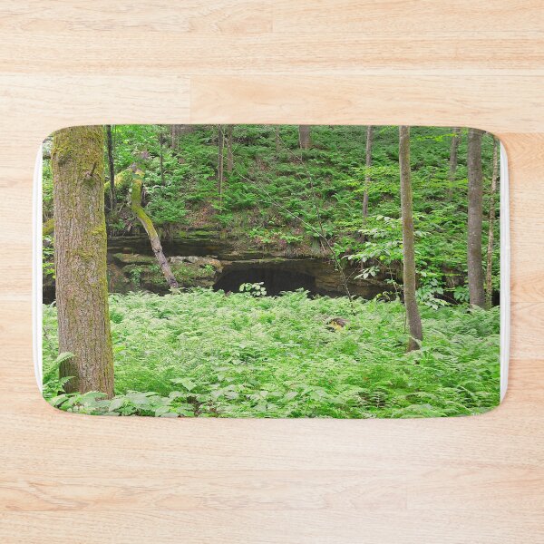 Item preview, Forest Cave Entrance Hocking Hills Ohio designed and sold by LisaWootenPhoto.