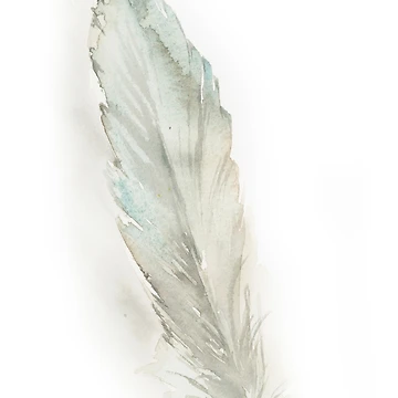 Artwork thumbnail, Feather by CanotStop