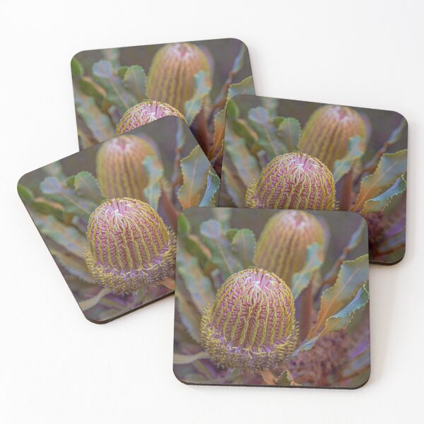 Item preview, Firewood Banksia (Banksia menziesii) 2 – Fine Art Canvas Print designed and sold by MinzMarchStudio.
