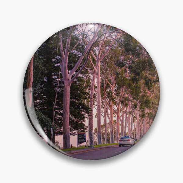Item preview, Fraser Avenue Twilight Kings Park – Fine Art Photography Print designed and sold by MinzMarchStudio.