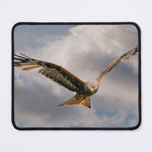 Item preview, Red Kite searching designed and sold by inspireyoureyes.