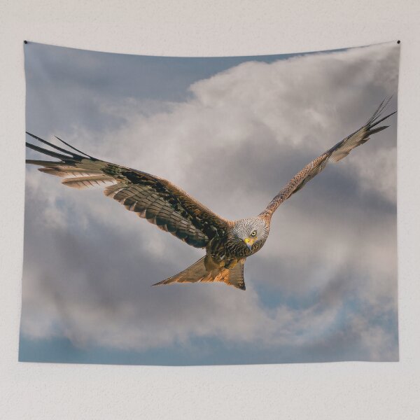 Item preview, Red Kite searching designed and sold by inspireyoureyes.