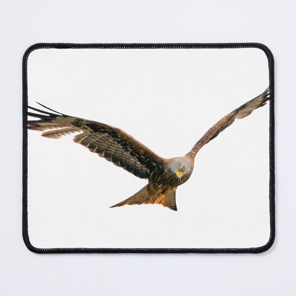 Item preview, Red Kite in flight designed and sold by inspireyoureyes.