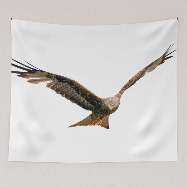 Item preview, Red Kite in flight designed and sold by inspireyoureyes.