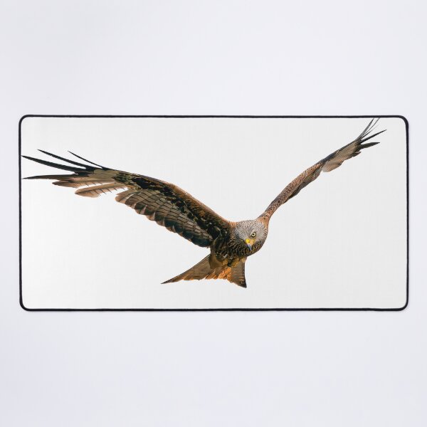 Item preview, Red Kite in flight designed and sold by inspireyoureyes.