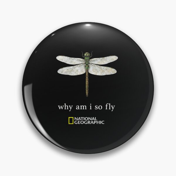 Item preview, National Geographic Why Am I So Fly Dragonfly Vintage Nature Science Tee designed and sold by yerdhalo.