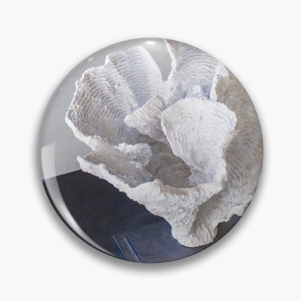 Item preview, White Coral Sculpture on Black Base Decorative Home Decor Accent for Coastal Interior Styling designed and sold by Nmallia.